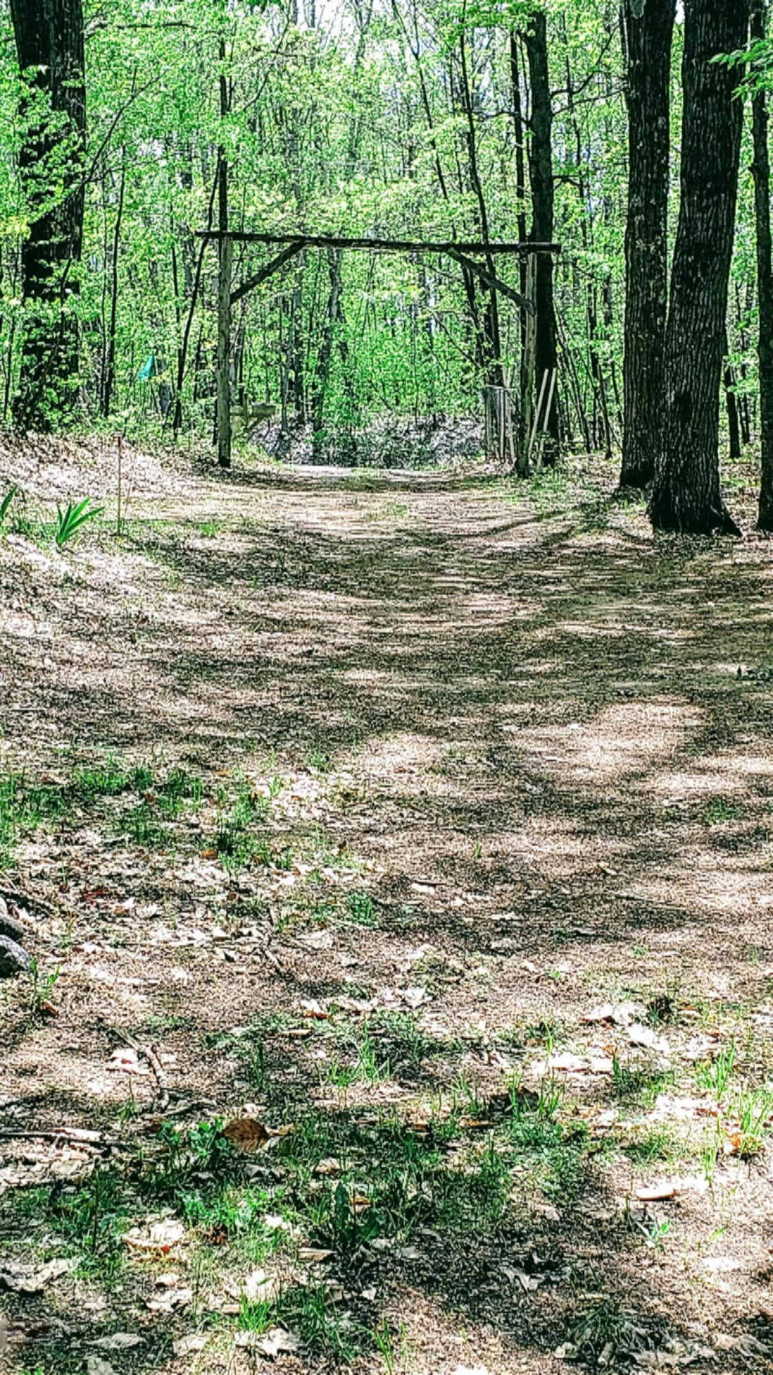 18720 9 Mile Road Kaleva, MI 49645 - Photo 59 of 59 Driveway