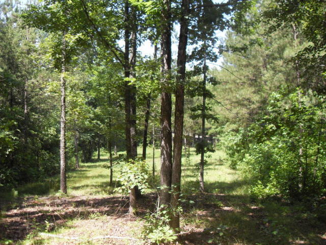 950 East Teems Road, Unit LOT 1 Ringgold, GA 30736 - Photo 2 of 8 E teems 3