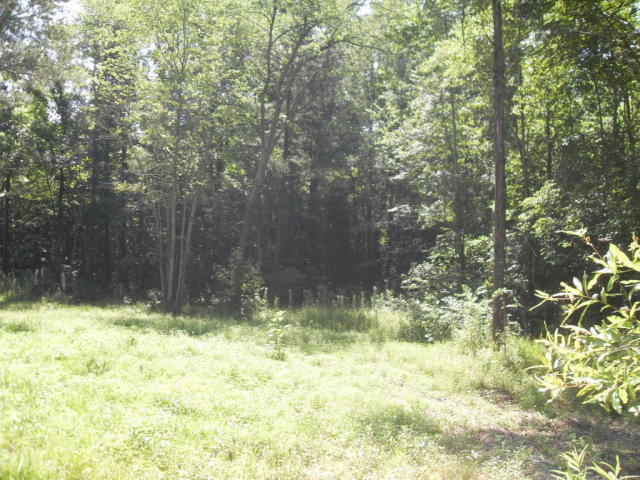 950 East Teems Road, Unit LOT 1 Ringgold, GA 30736 - Photo 5 of 8 e teems 6