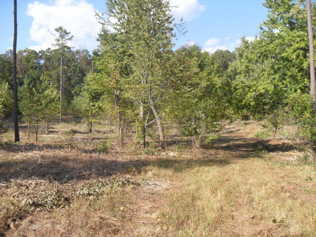 950 East Teems Road, Unit LOT 1 Ringgold, GA 30736 - Photo 7 of 8 e teems 8