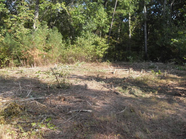950 East Teems Road, Unit LOT 1 Ringgold, GA 30736 - Photo 8 of 8 e teems 9