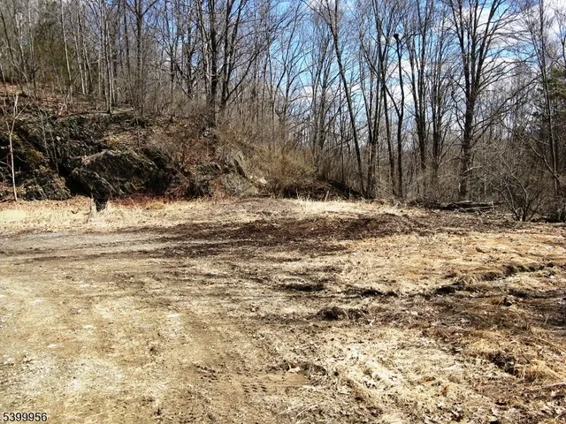 a view of a backyard of the house