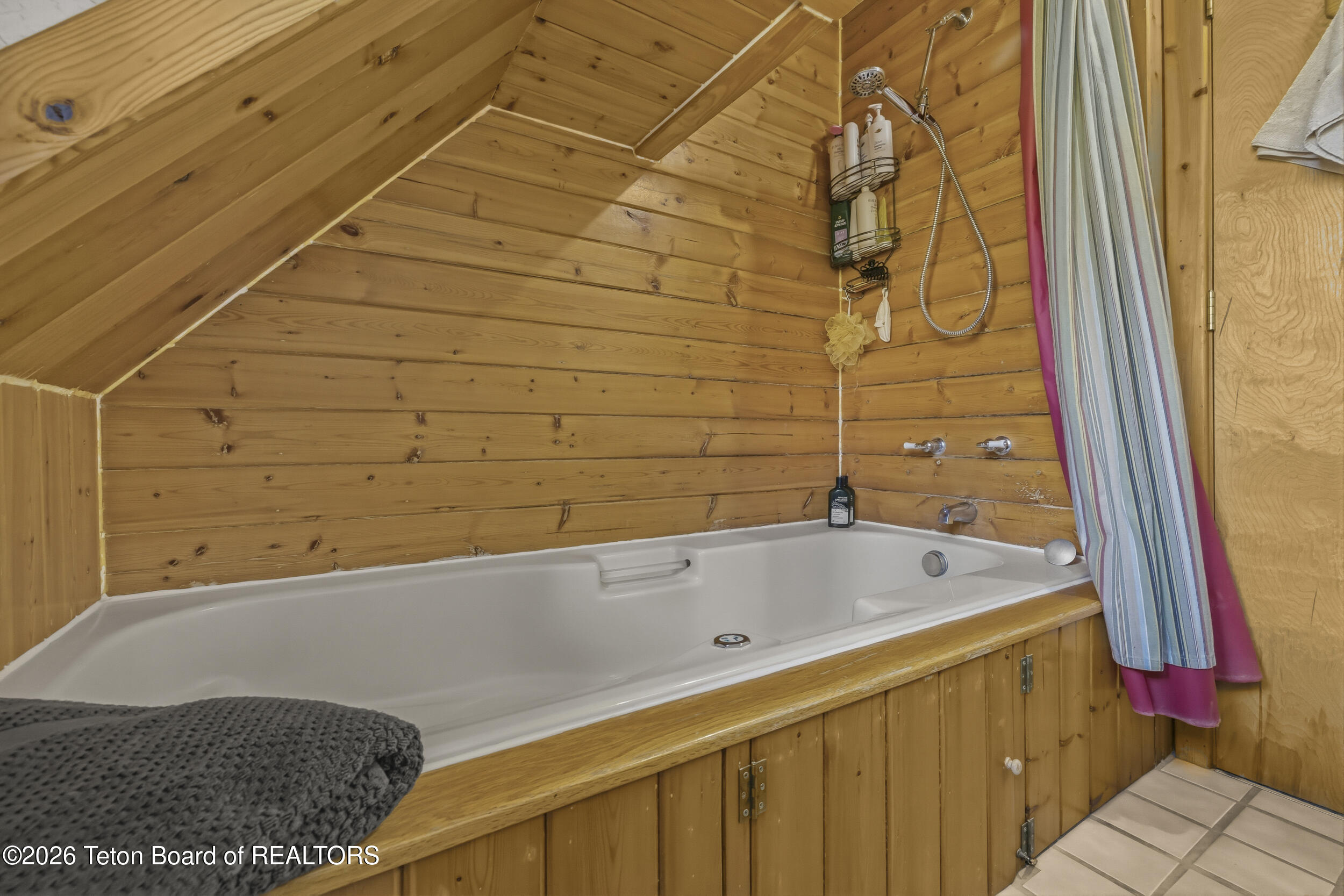 2315 South Stateline Road Driggs, ID 83422 - Photo 18 of 49 Primary Tub