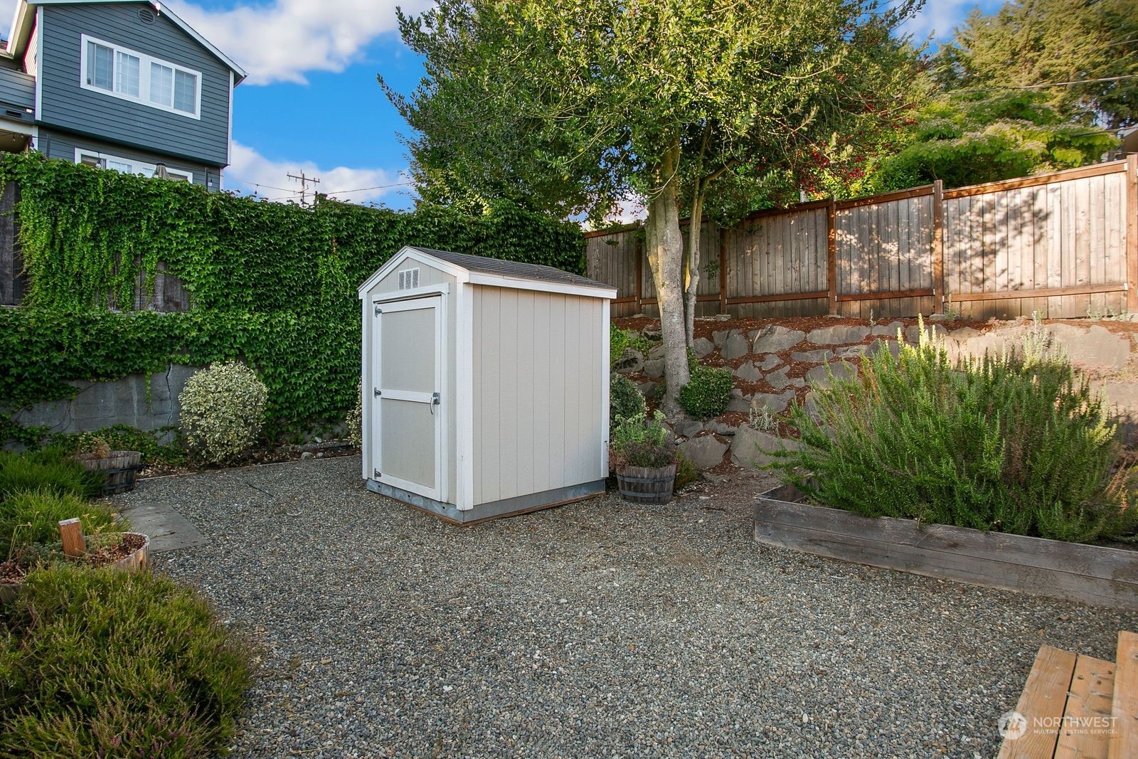 3702 Southwest Holden Street Seattle, WA 98126 - Photo 21 of 23 a view of a backyard with a tree