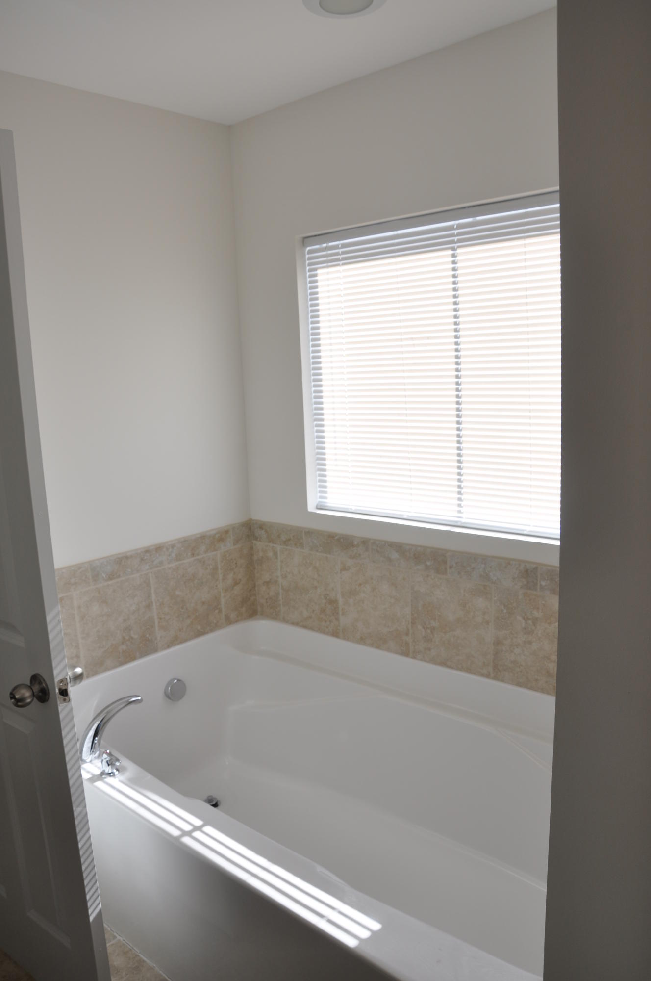 211 Rice Mill Place Charleston, SC 29492 - Photo 19 of 23 211ricembtub