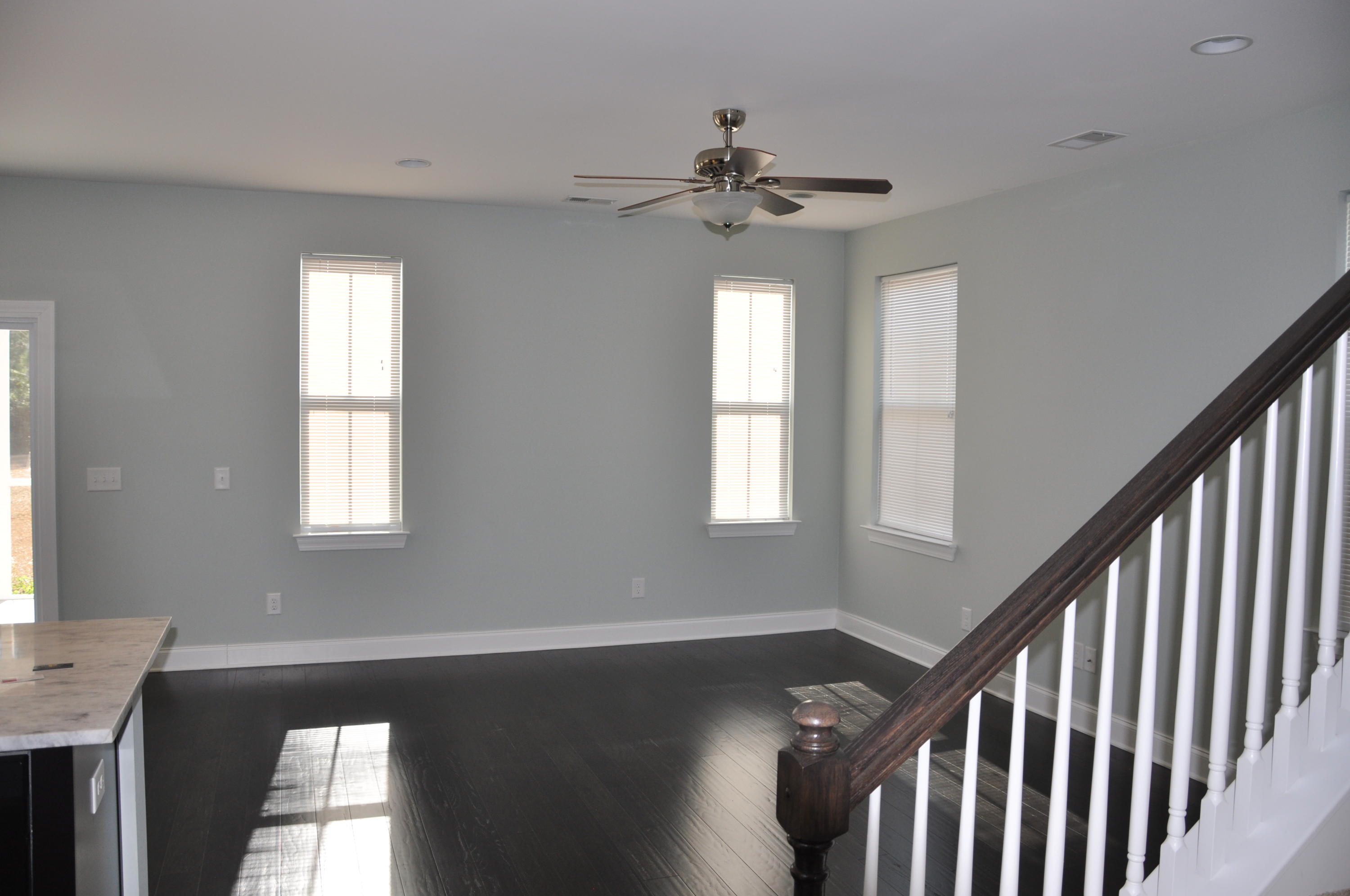 211 Rice Mill Place Charleston, SC 29492 - Photo 9 of 23 211ricefam