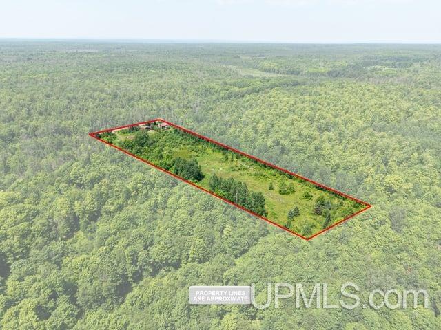 509 Dukes Road Skandia, MI 49885 - Photo 58 of 63