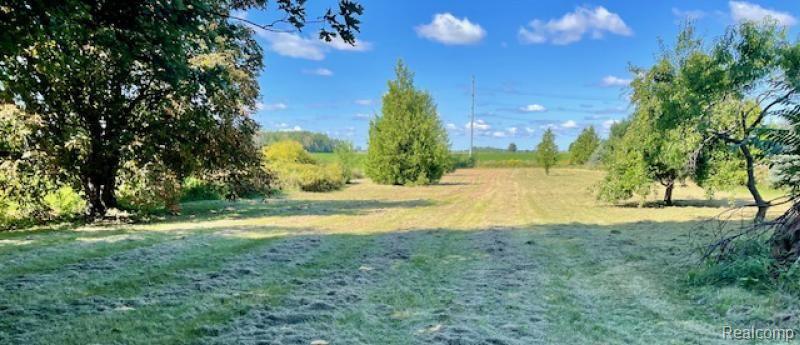 4064 South Parisville Road Ruth, MI 48470 - Photo 2 of 11