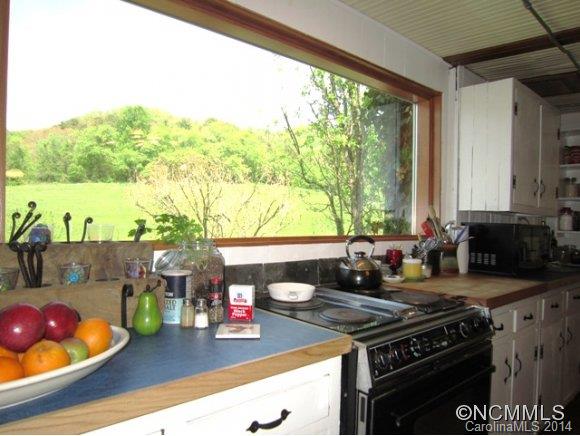 255 Potato Branch Road Leicester, NC 28748 - Photo 8 of 24 Gallery Image 8