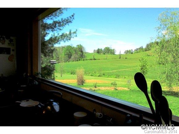 255 Potato Branch Road Leicester, NC 28748 - Photo 9 of 24 Gallery Image 9