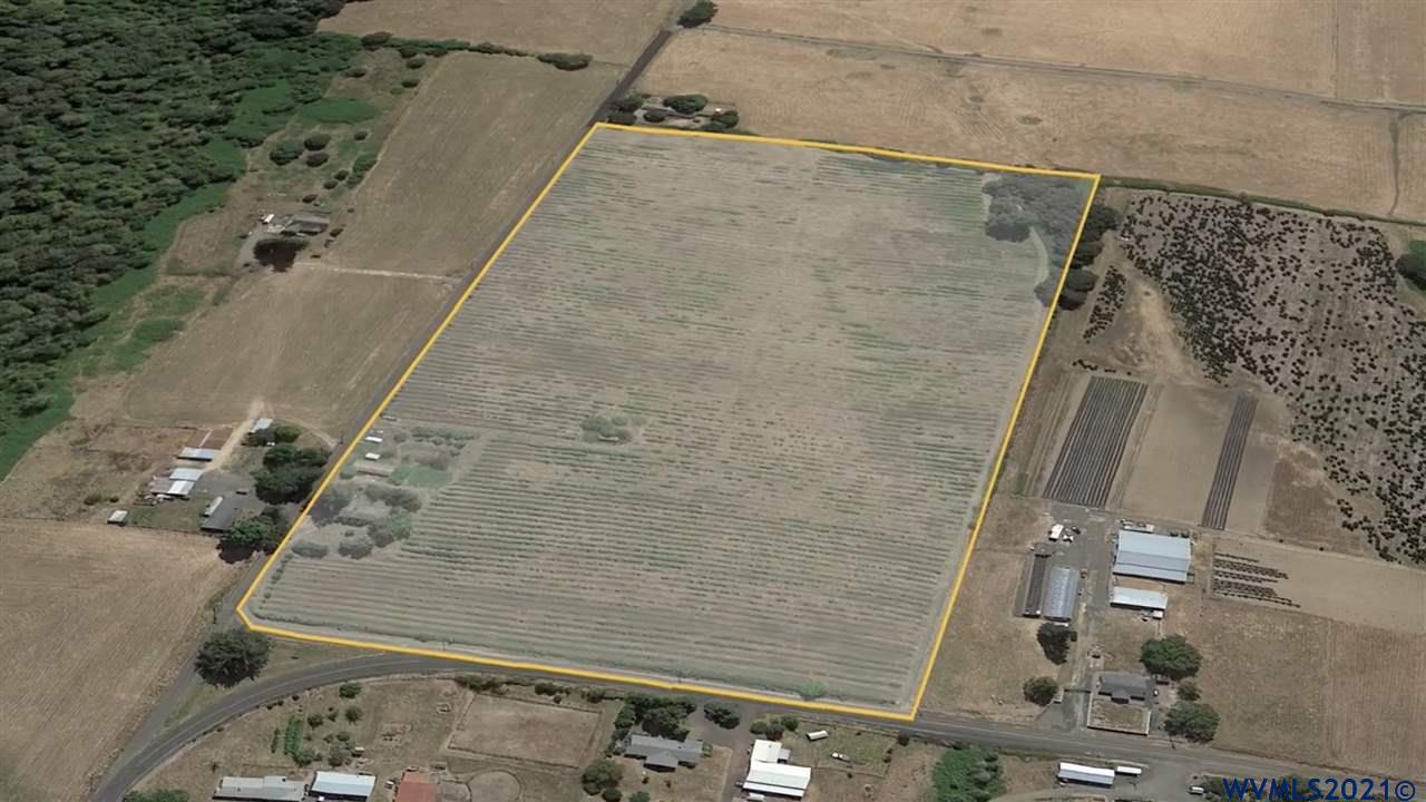 40641 North Ruby Loop Scio, OR 97374 - Photo 1 of 4 Gallery Image 1