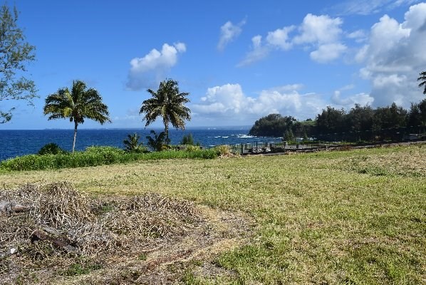 24 Lot Pepeekeo, HI 96783 - Photo 9 of 18