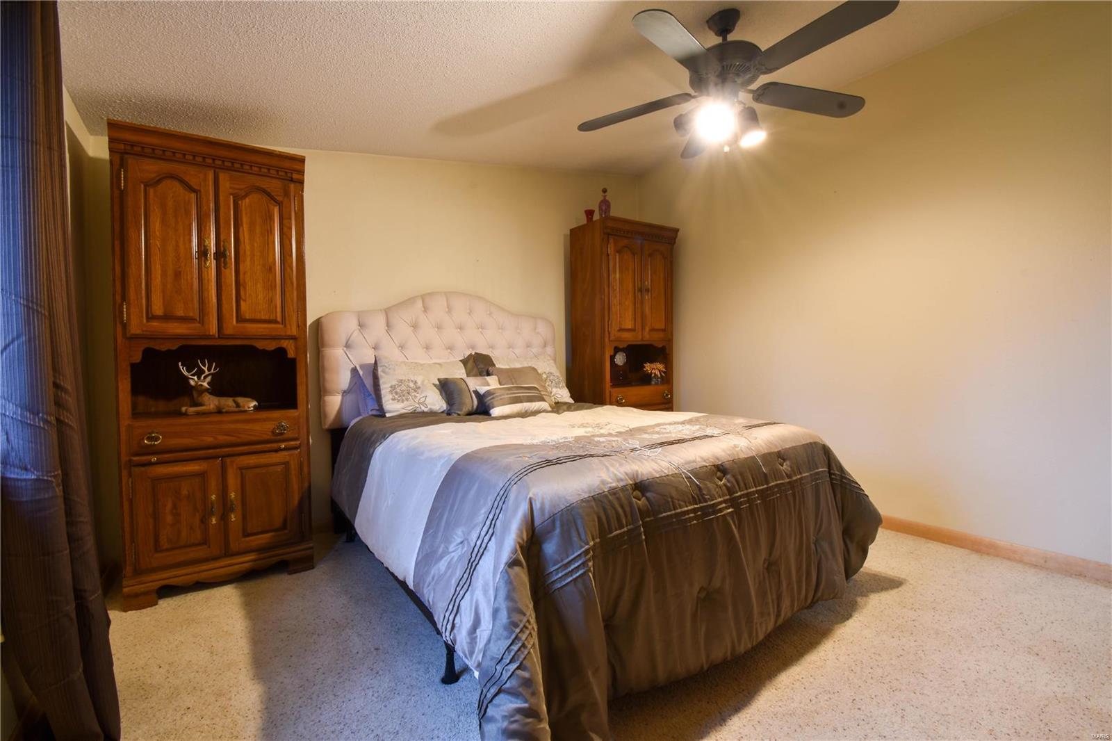 9355 Schaefer Road Staunton, IL 62088 - Photo 23 of 61