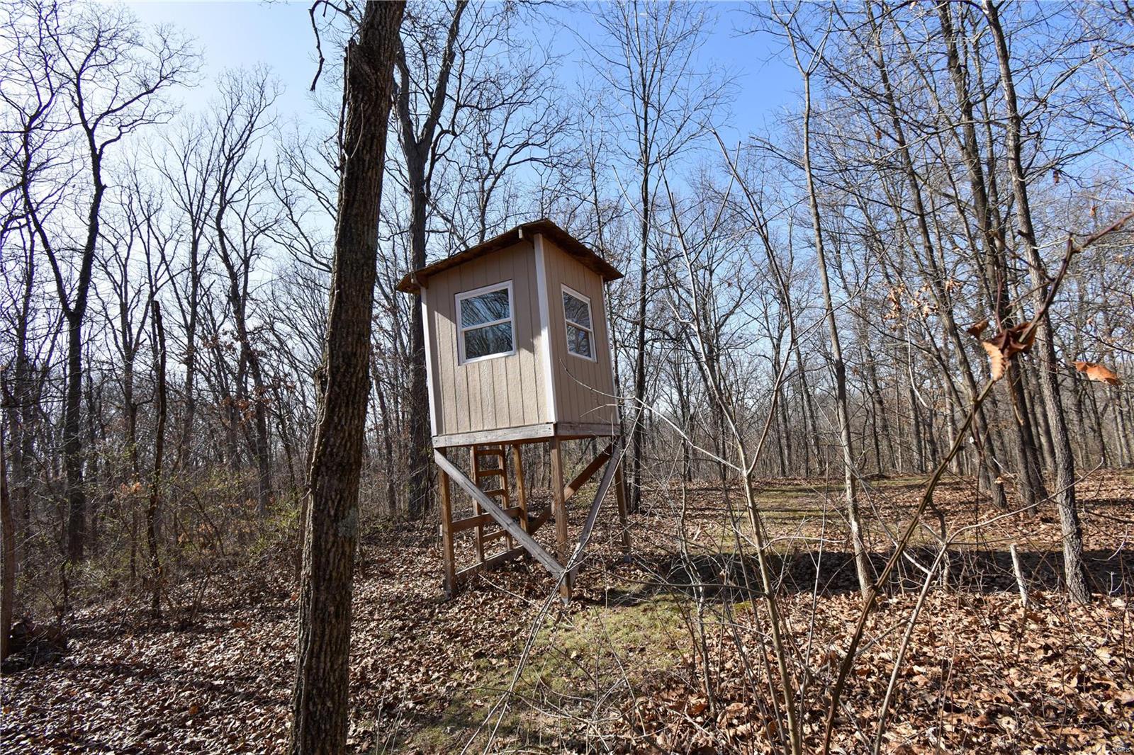 9355 Schaefer Road Staunton, IL 62088 - Photo 49 of 61