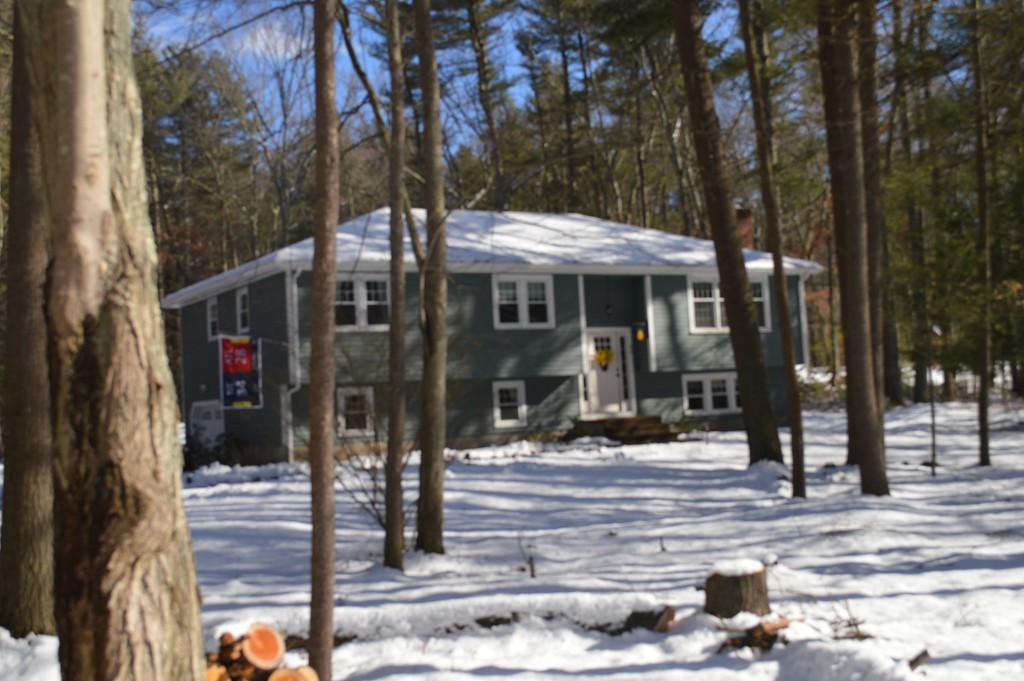 44 Carl Road Walpole, MA 02081 - Photo 1 of 11 Gallery Image 1