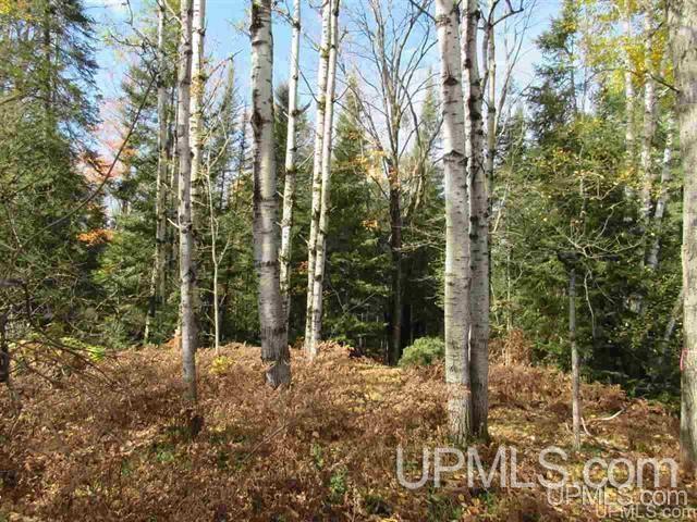 15781 Skanee Road Lanse, MI 49946 - Photo 13 of 17 Gallery Image 13