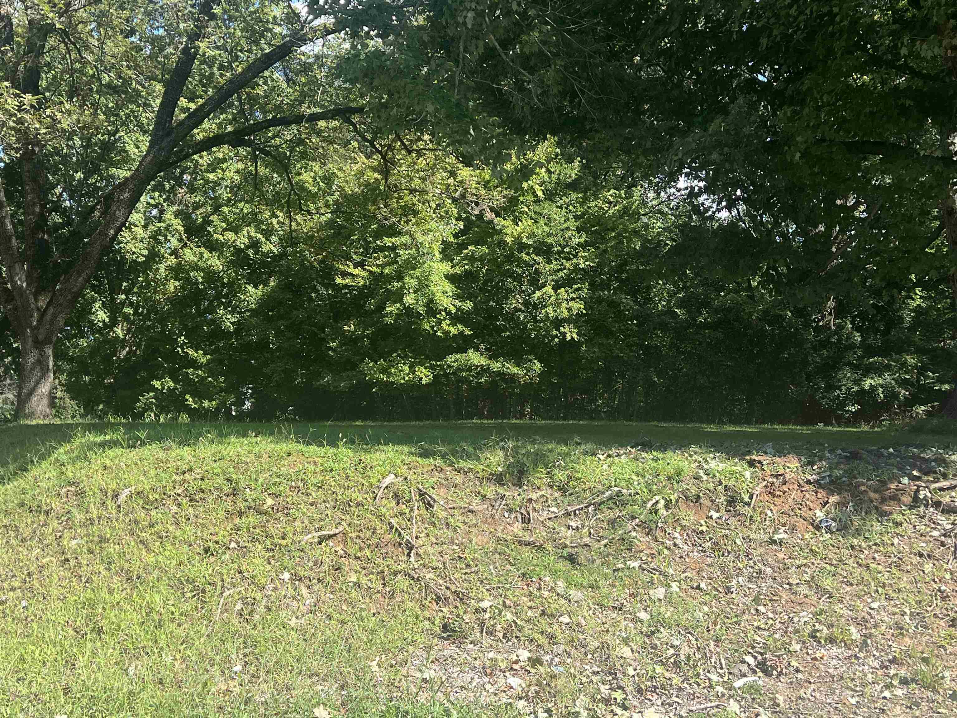 0 Highland Street Ripley, TN 38063 - Photo 1 of 3 a view of a lake view