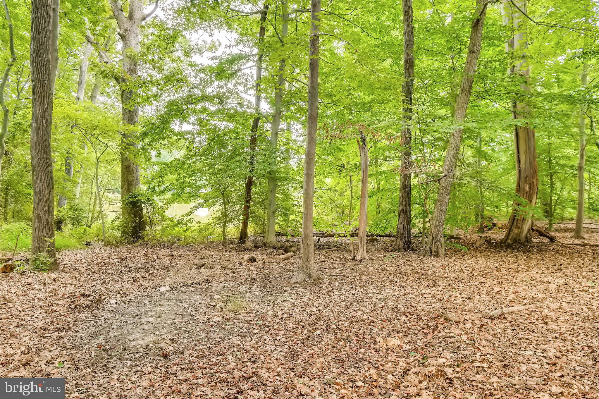 Cumberstone Road Harwood, MD 20776 - Photo 11 of 11 Wooded Lot