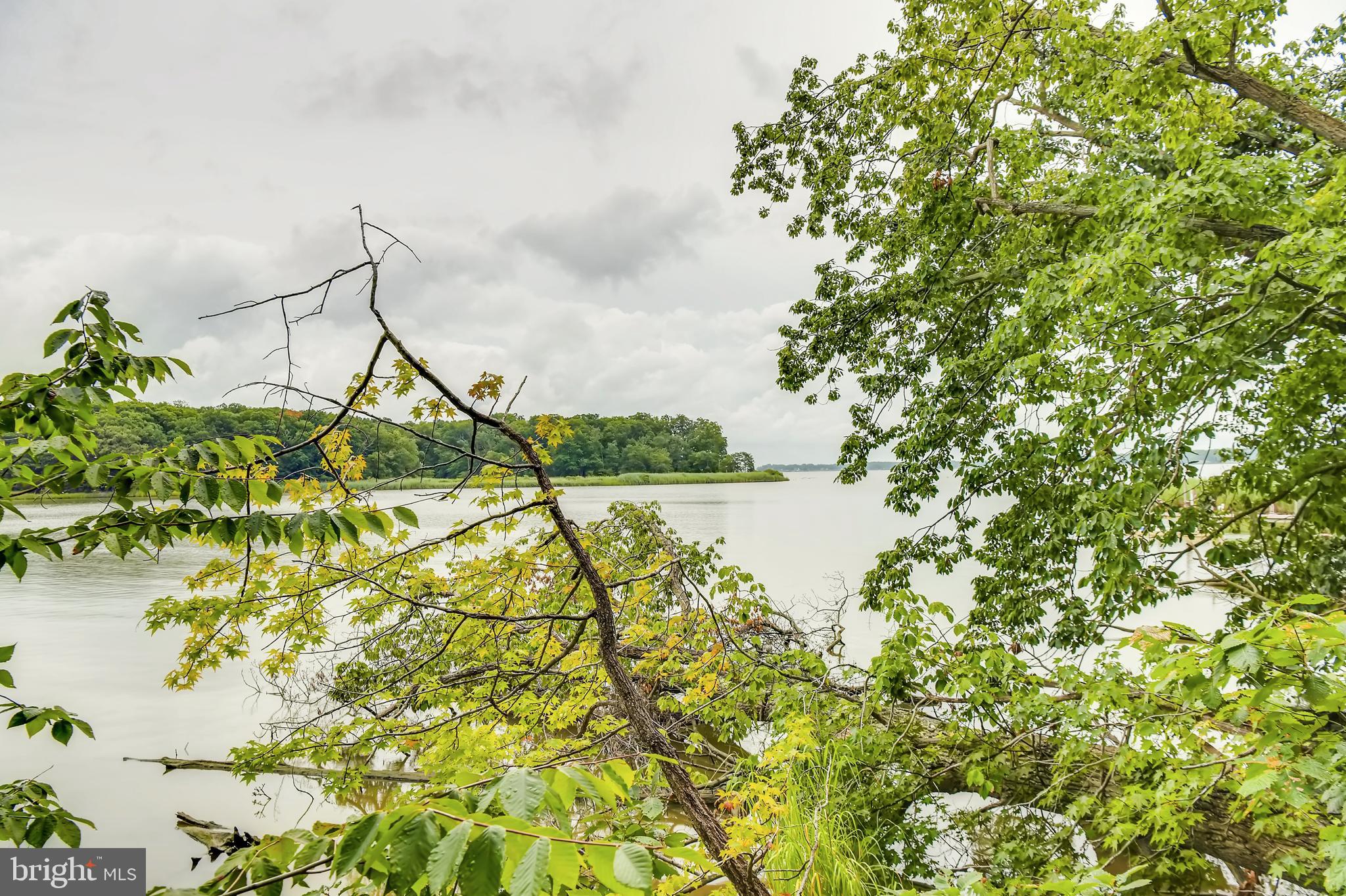 Cumberstone Road Harwood, MD 20776 - Photo 5 of 11 Tree Lined Shore