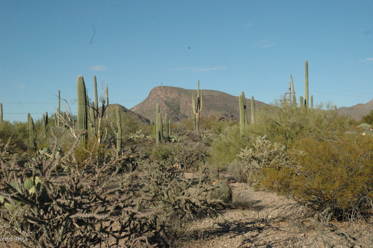 6800 North Wade Road Tucson, AZ 85743 - Photo 16 of 24 Gallery Image 16
