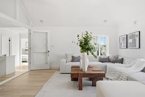 a living room with furniture and a potted plant