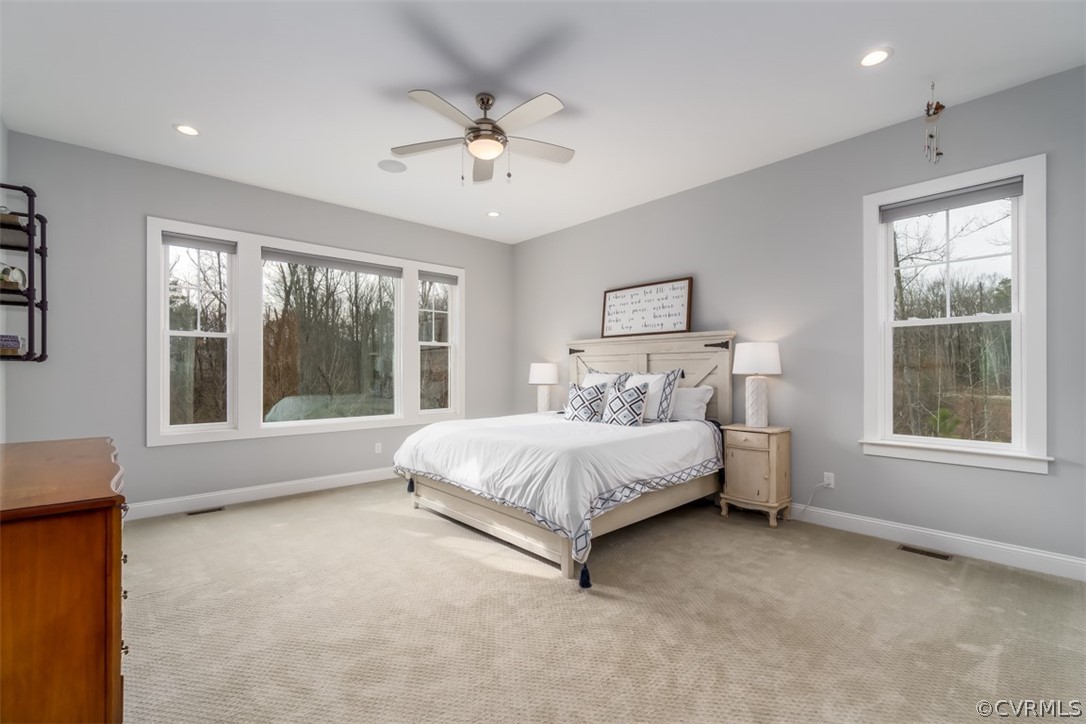 16031 Drumone Road Midlothian, VA 23112 - Photo 26 of 49 Gallery Image 26