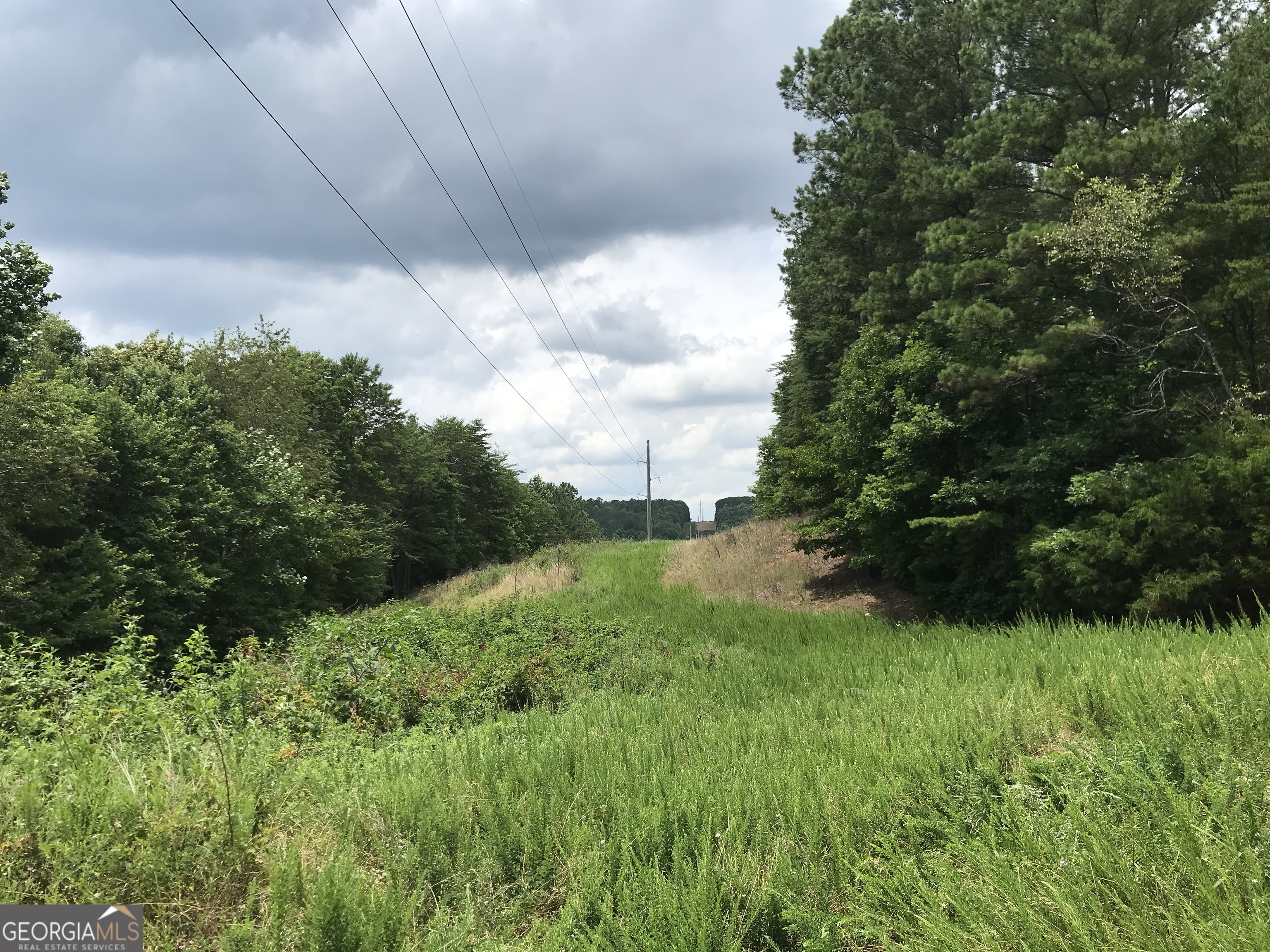 0 Moores Gin Road, Unit 9693 Fairmount, GA 30139 - Photo 11 of 32 a view of backyard with green space