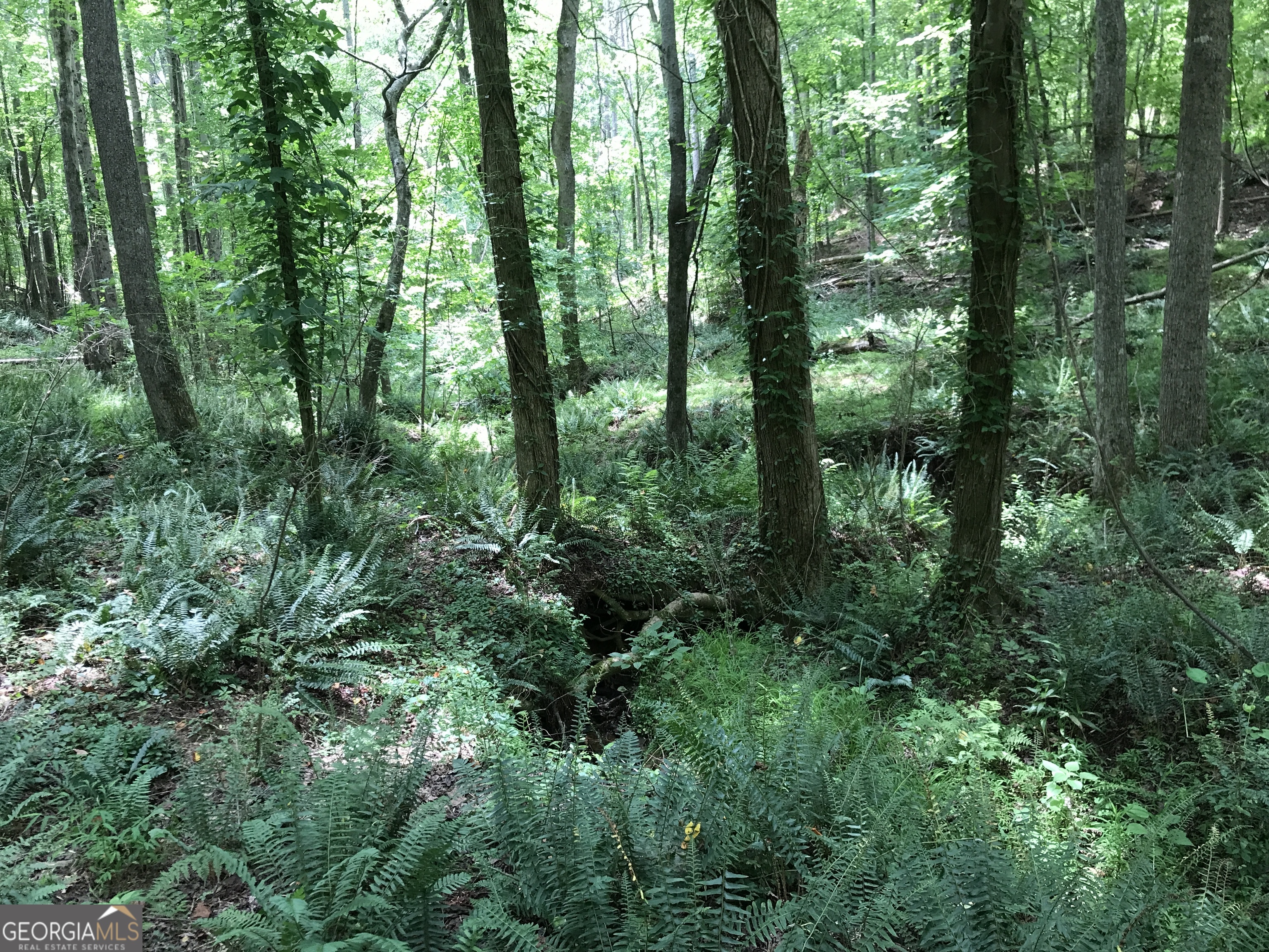 0 Moores Gin Road, Unit 9693 Fairmount, GA 30139 - Photo 13 of 32 a view of forest