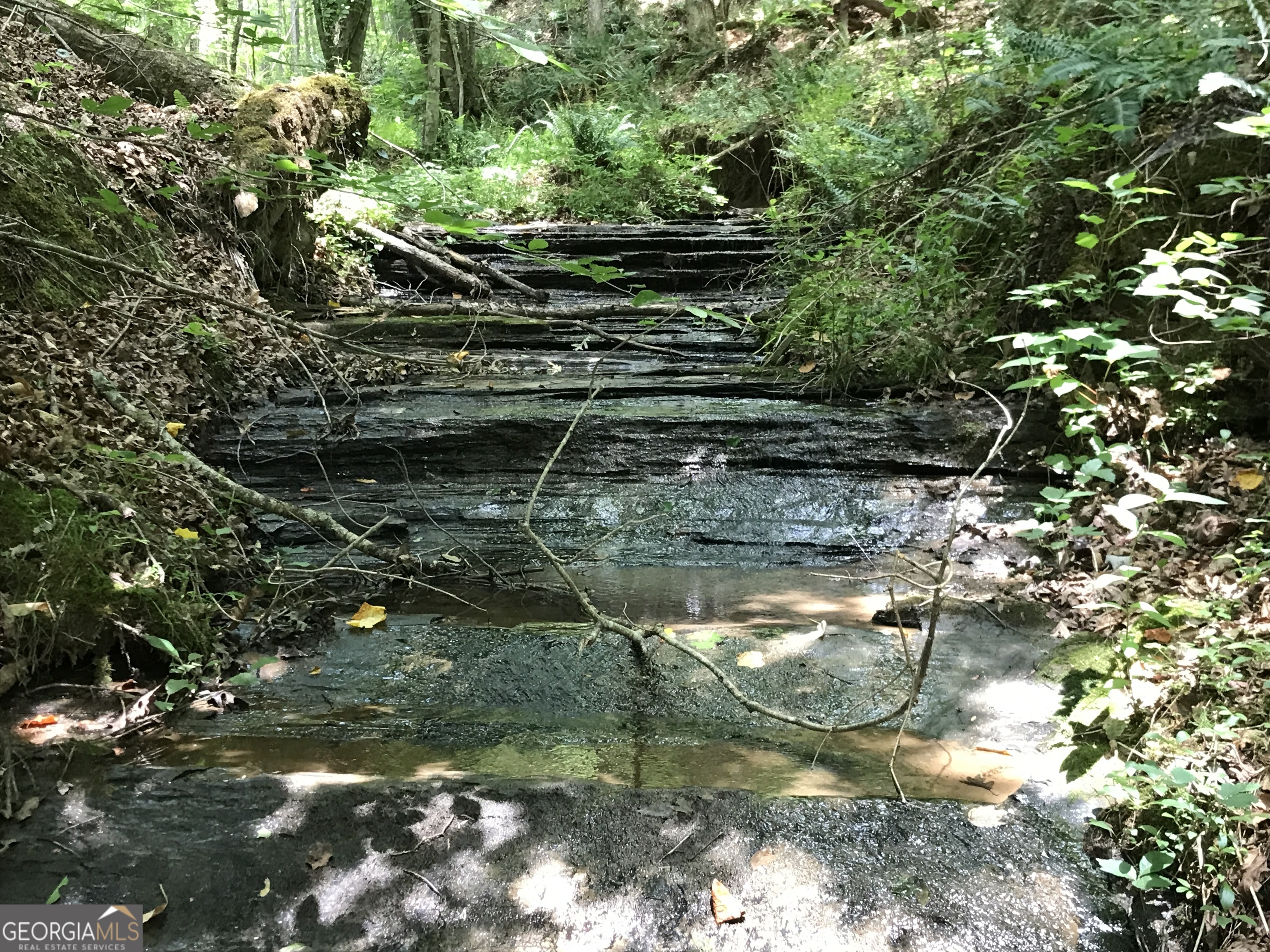 0 Moores Gin Road, Unit 9693 Fairmount, GA 30139 - Photo 15 of 32