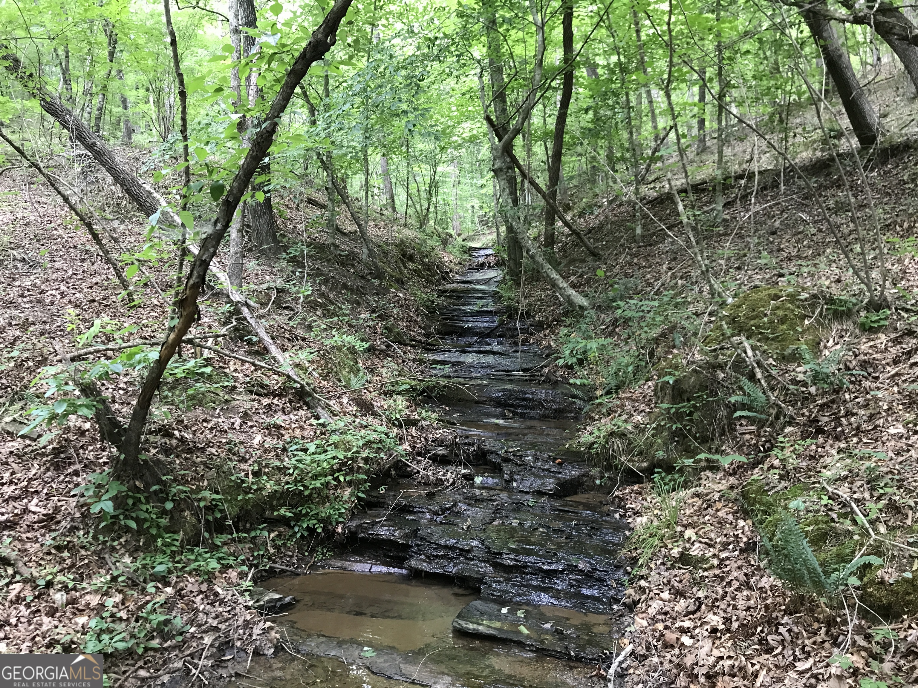 0 Moores Gin Road, Unit 9693 Fairmount, GA 30139 - Photo 16 of 32 a view of a lake with large trees