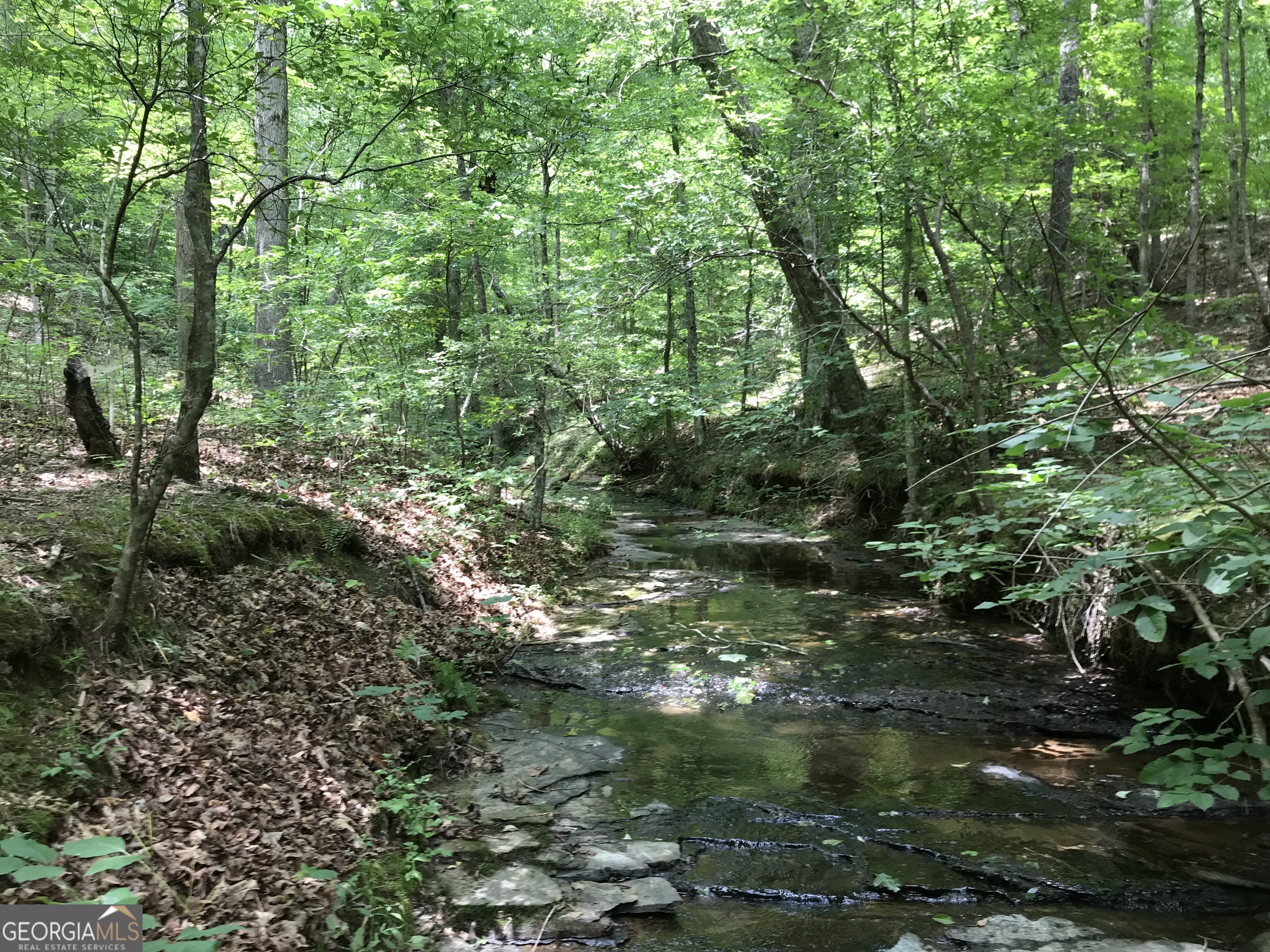 0 Moores Gin Road, Unit 9693 Fairmount, GA 30139 - Photo 17 of 32 a view of a forest