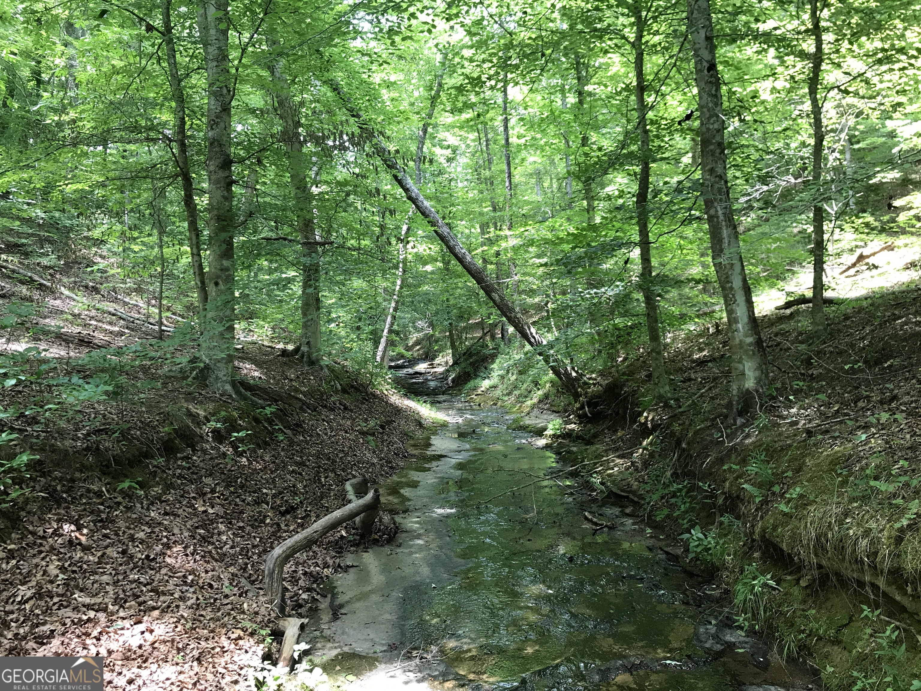 0 Moores Gin Road, Unit 9693 Fairmount, GA 30139 - Photo 18 of 32 a view of forest