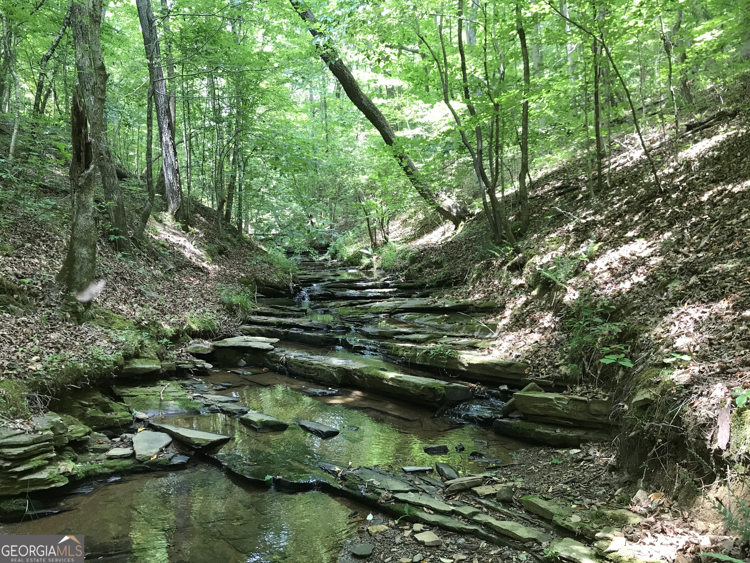 0 Moores Gin Road, Unit 9693 Fairmount, GA 30139 - Photo 19 of 32 a view of lake