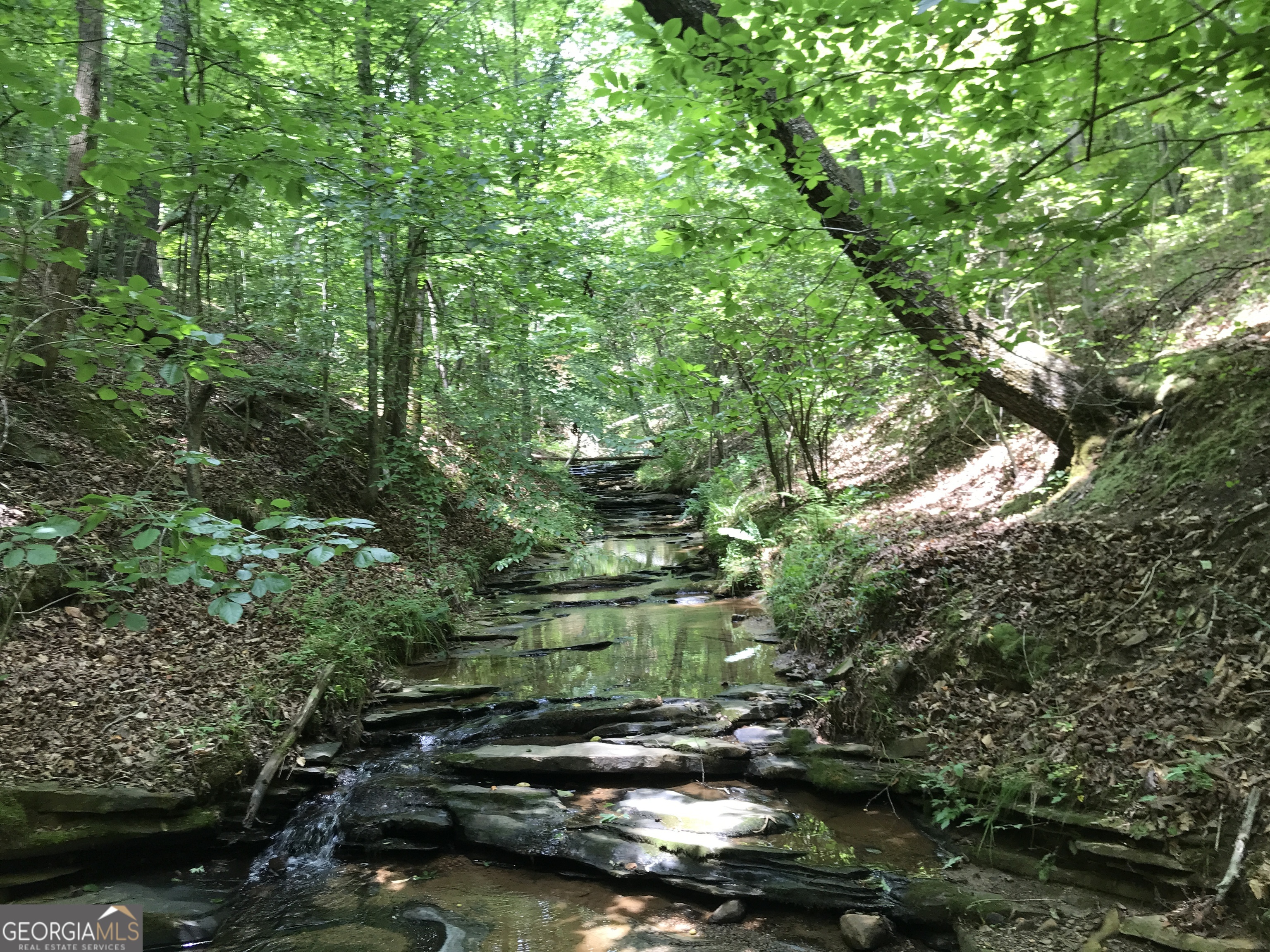 0 Moores Gin Road, Unit 9693 Fairmount, GA 30139 - Photo 20 of 32 a view of a lake with houses