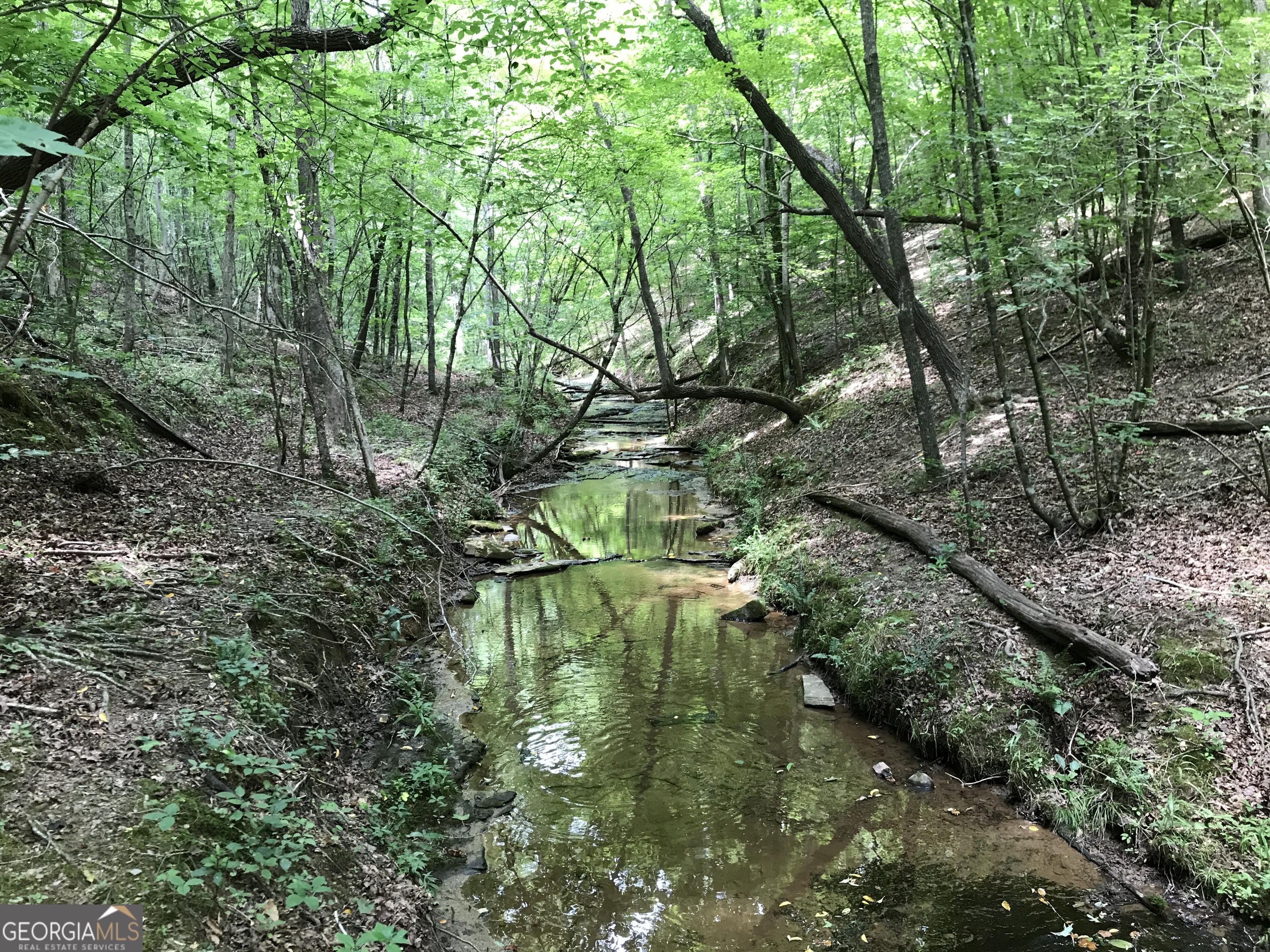 0 Moores Gin Road, Unit 9693 Fairmount, GA 30139 - Photo 23 of 32 a backyard of a house with lots of green space