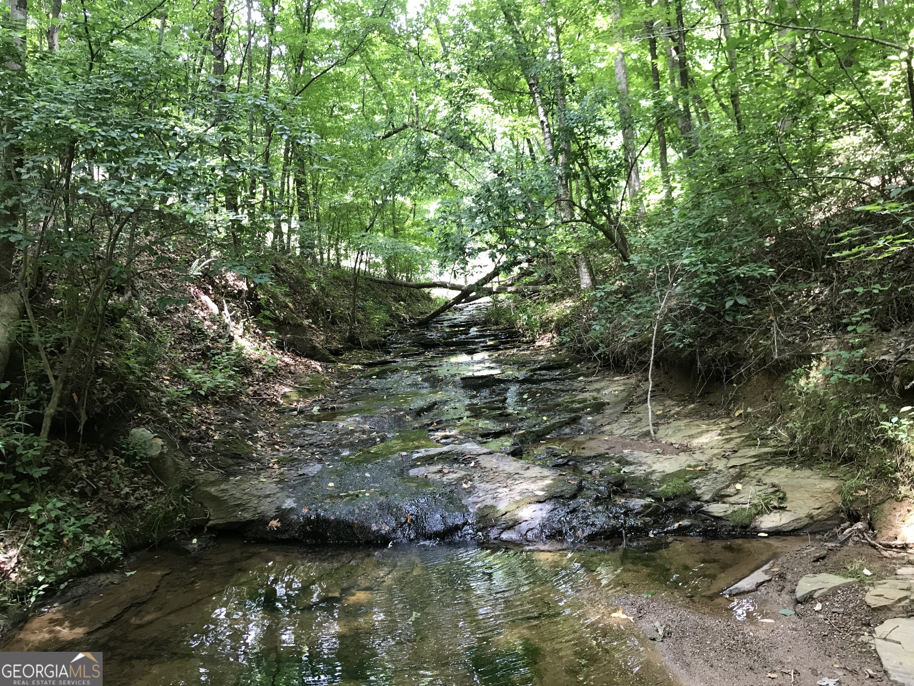 0 Moores Gin Road, Unit 9693 Fairmount, GA 30139 - Photo 24 of 32 a view of lake