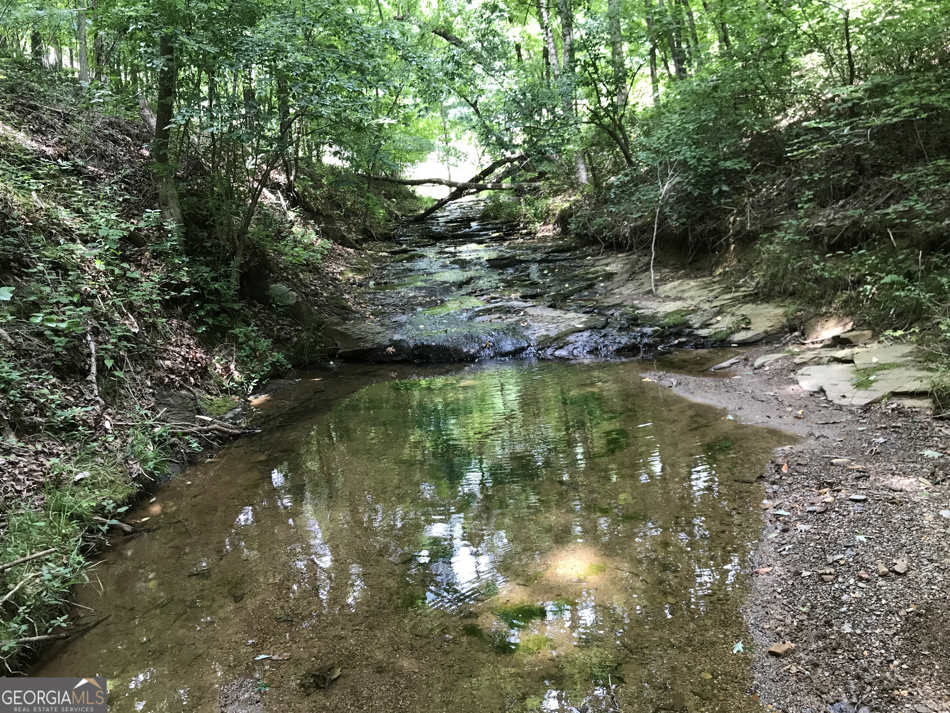 0 Moores Gin Road, Unit 9693 Fairmount, GA 30139 - Photo 25 of 32 a view of a lake from a yard