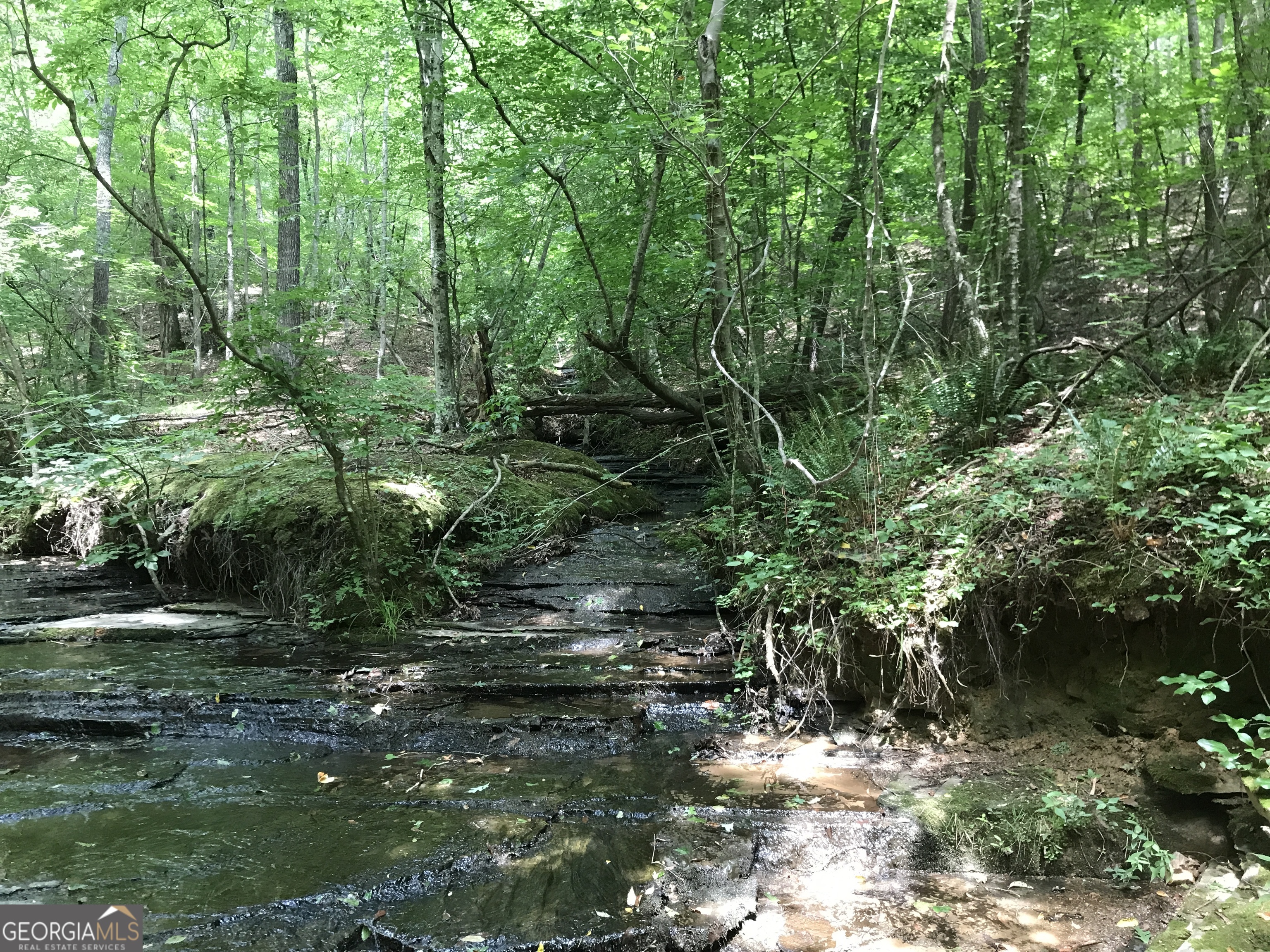 0 Moores Gin Road, Unit 9693 Fairmount, GA 30139 - Photo 26 of 32 a view of outdoor space and yard