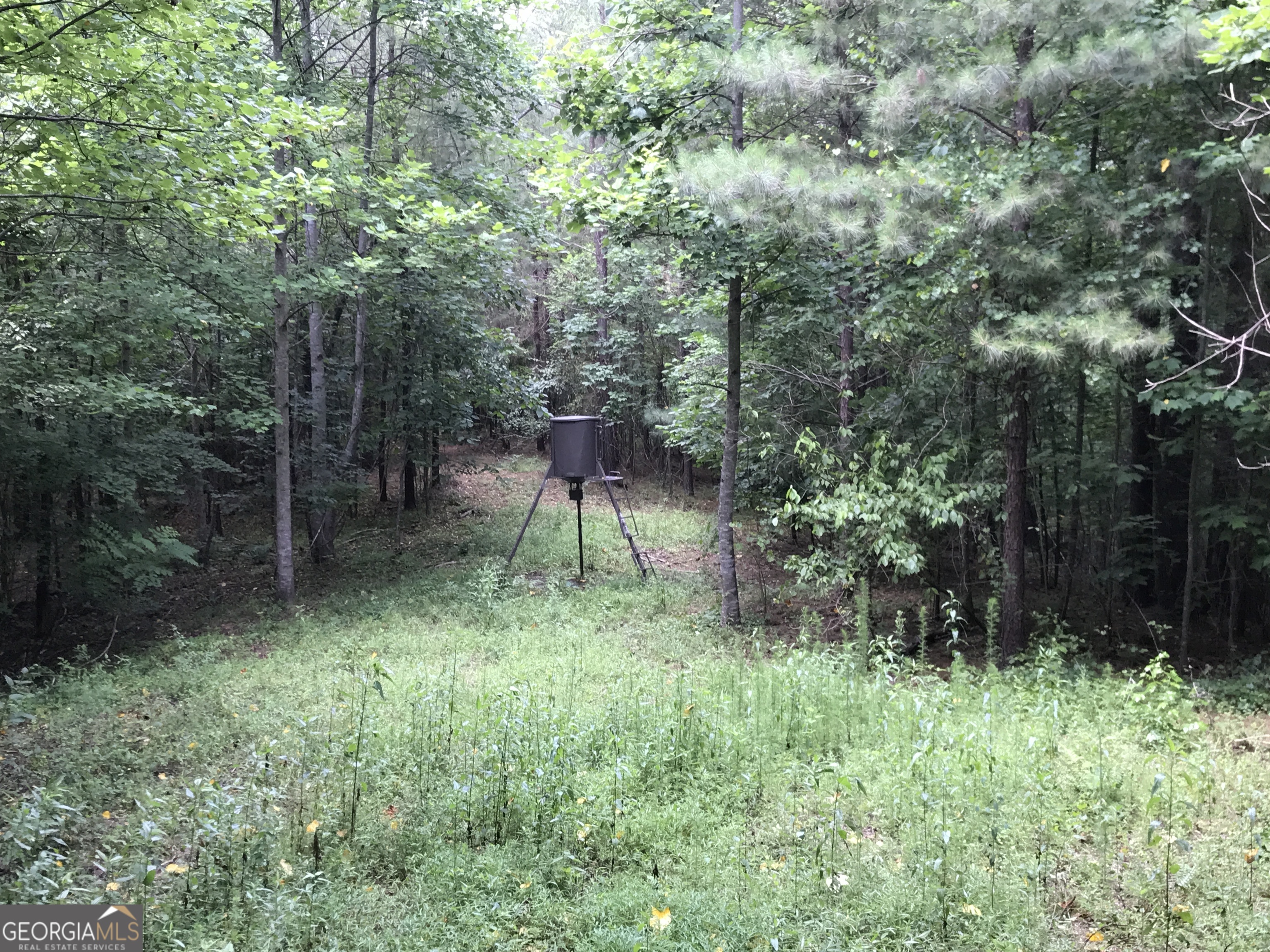 0 Moores Gin Road, Unit 9693 Fairmount, GA 30139 - Photo 27 of 32 a view of a backyard