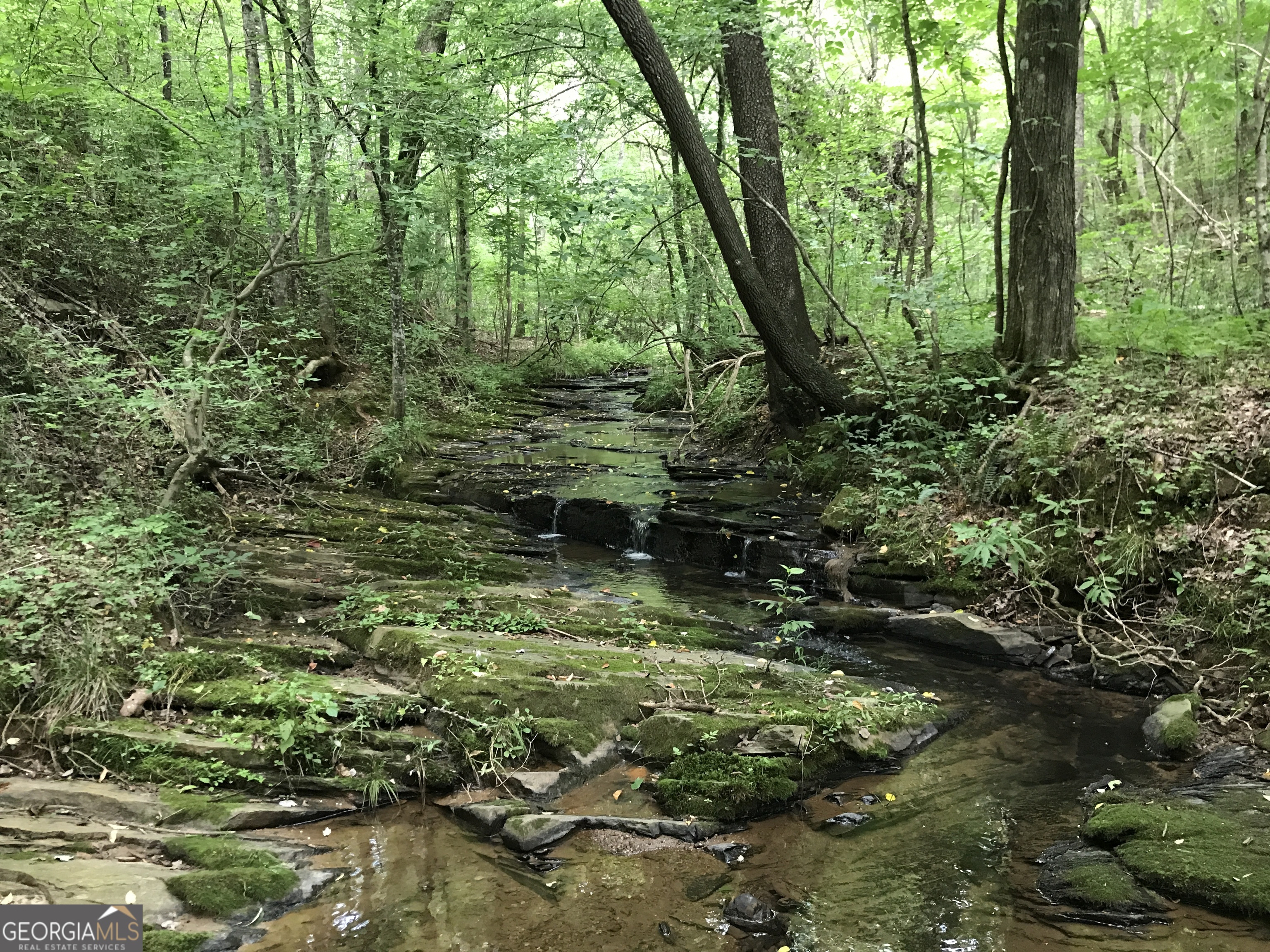 0 Moores Gin Road, Unit 9693 Fairmount, GA 30139 - Photo 29 of 32 a large yard with lots of green space