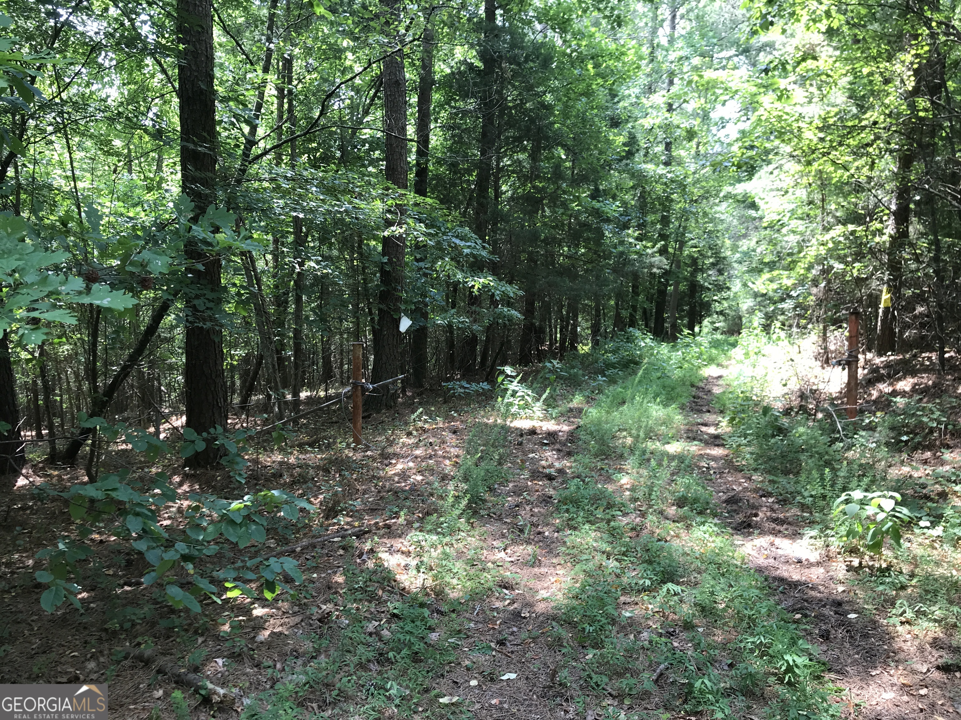 0 Moores Gin Road, Unit 9693 Fairmount, GA 30139 - Photo 3 of 32 a view of outdoor space and green space