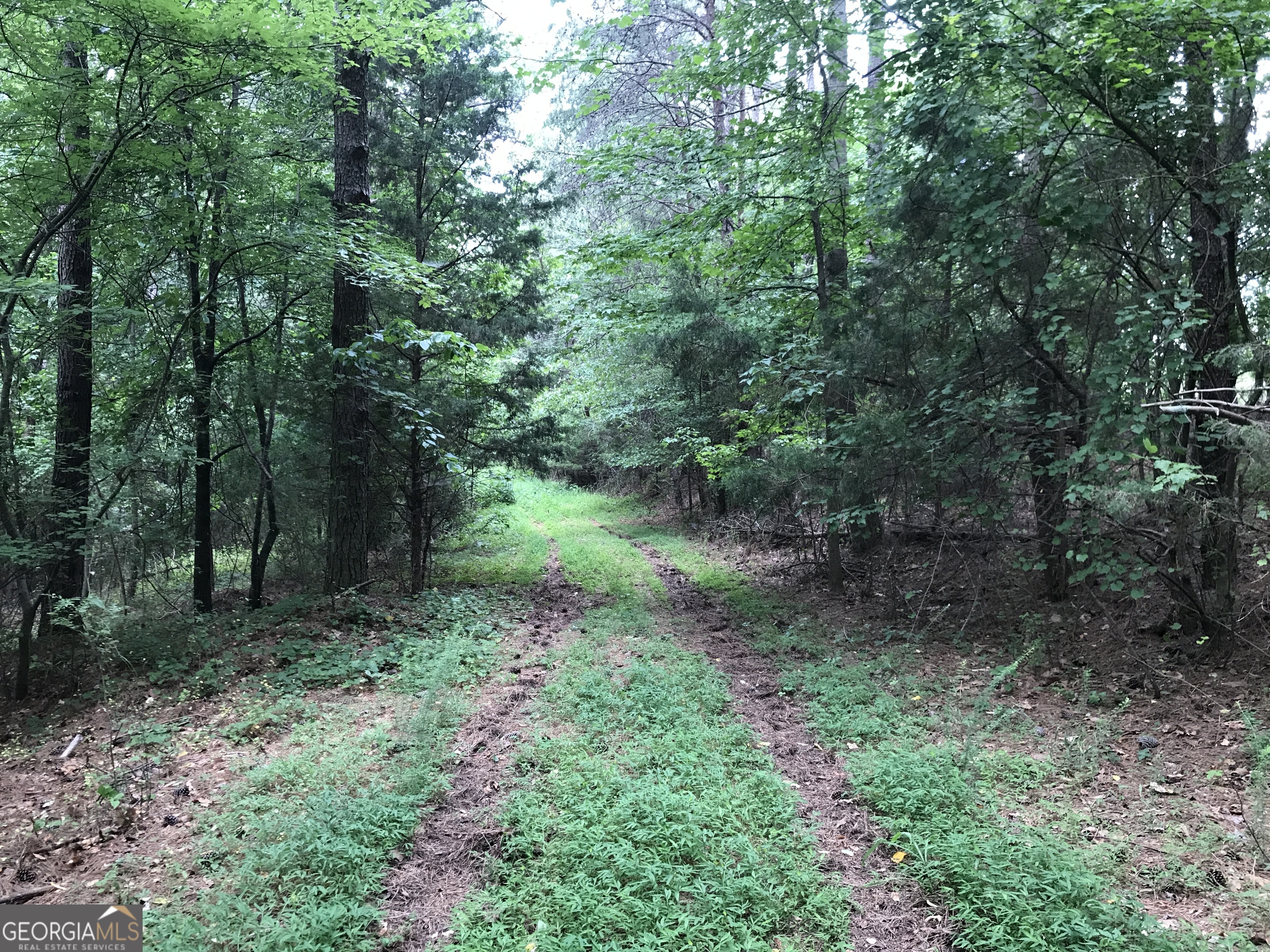 0 Moores Gin Road, Unit 9693 Fairmount, GA 30139 - Photo 4 of 32 a big yard with lots of green space and deers
