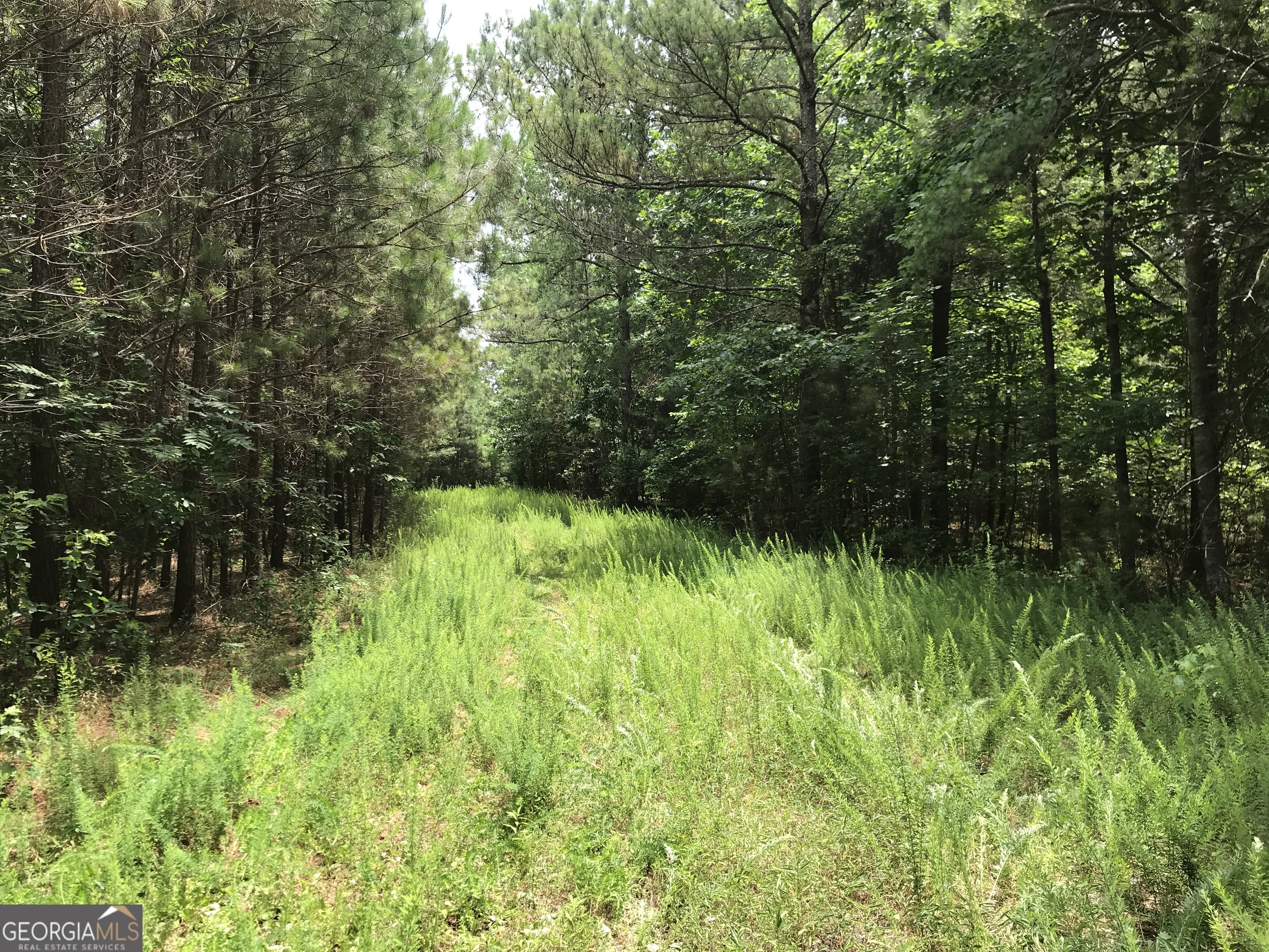 0 Moores Gin Road, Unit 9693 Fairmount, GA 30139 - Photo 6 of 32 a view of outdoor space and a yard
