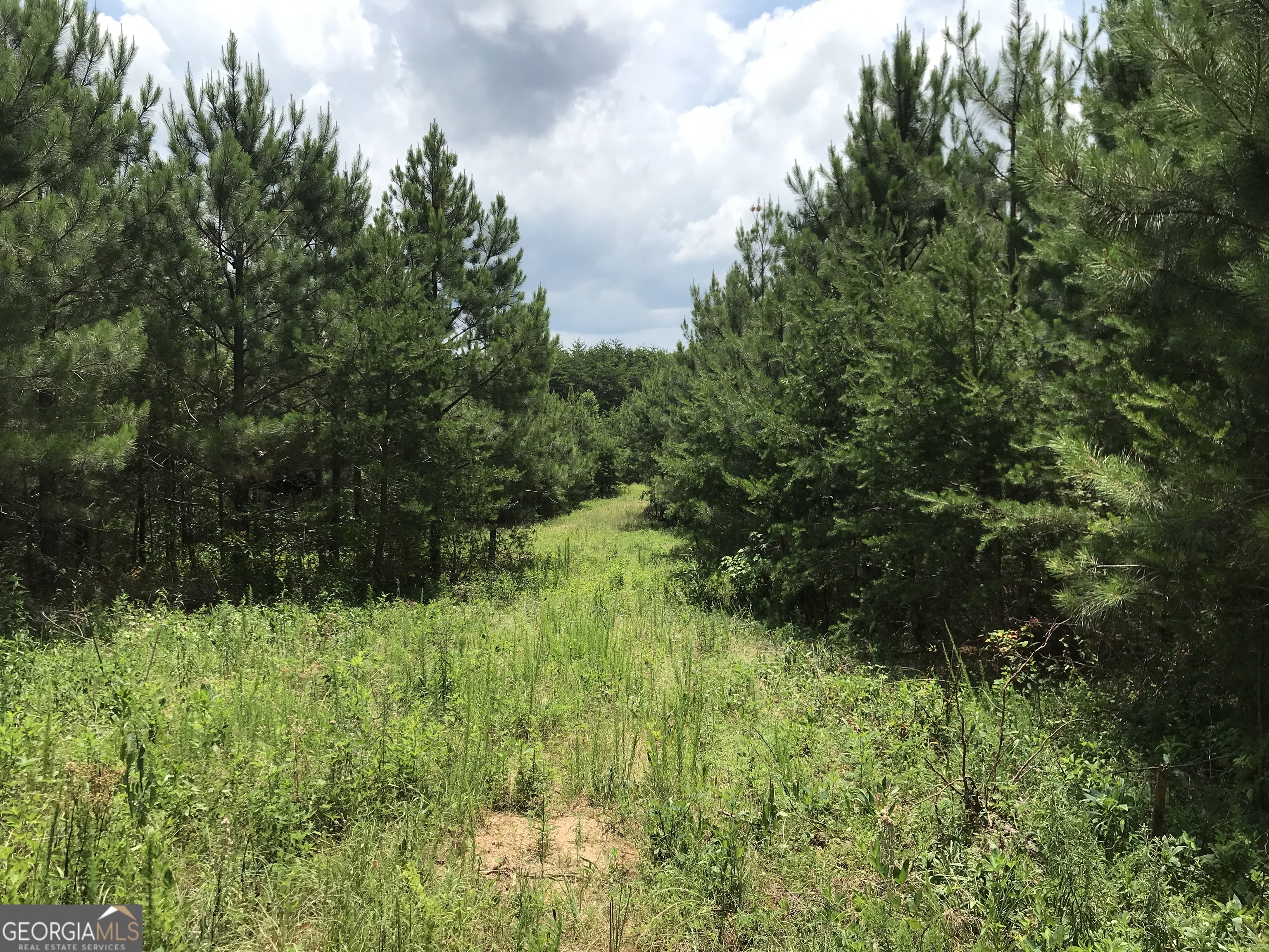 0 Moores Gin Road, Unit 9693 Fairmount, GA 30139 - Photo 7 of 32 a view of a garden