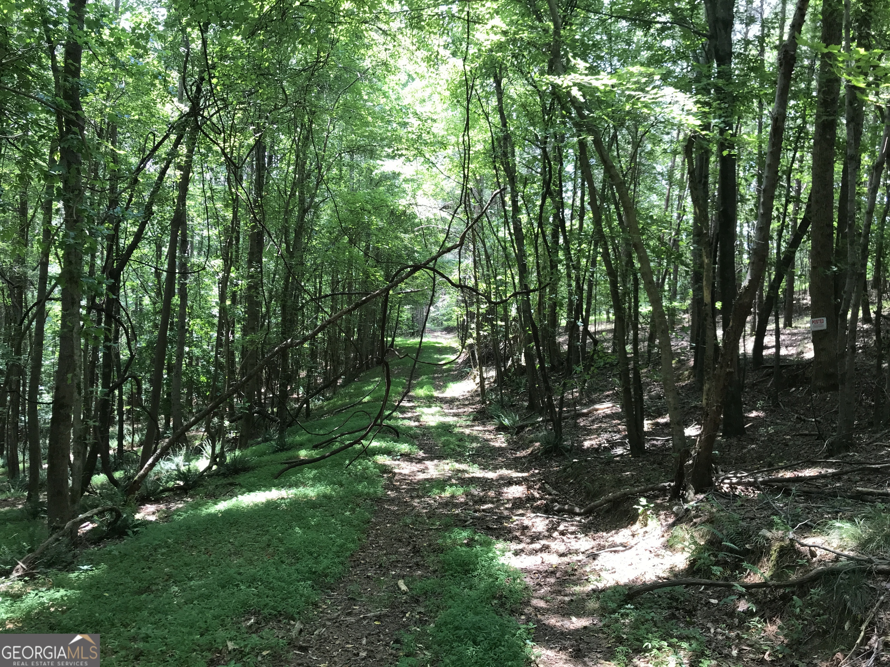 0 Moores Gin Road, Unit 9693 Fairmount, GA 30139 - Photo 8 of 32 a view of yard