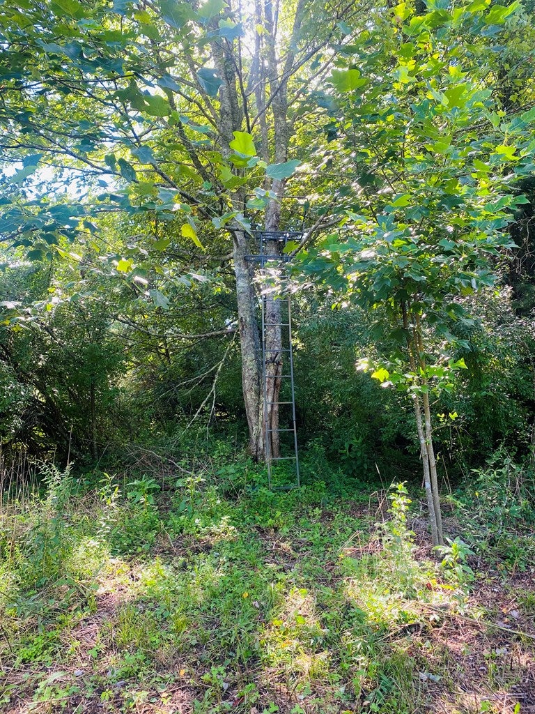 641 Stillhouse Road Laurel Fork, VA 24352 - Photo 50 of 73 Gallery Image 50