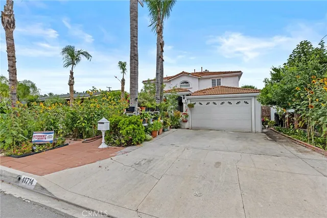 a pathway of a house with potted plants