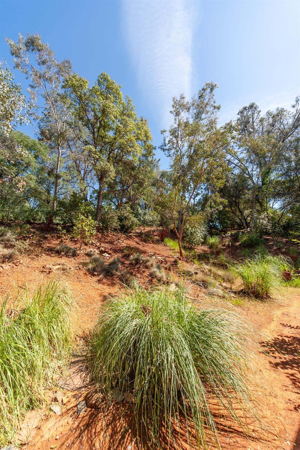 2000 Tegra Road Cool, CA 95614 - Photo 9 of 30