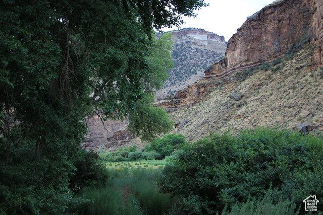 0 Nine Mile Canyon Road Wellington, UT 84542 - Photo 6 of 32 Mountain view