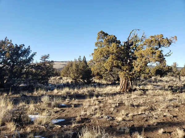 $65,000 | 1400 Golden View Ranch Bend, Bend, OR 97701